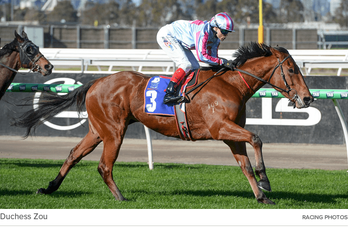 Duchess Zou racing photo