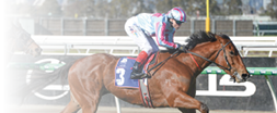 Duchess Zou ridden by Craig Williams wins the ATA Trust/TAB We're On at Flemington Racecourse on July 19, 2025 in Flemington, Australia. (Photo by Ross Holburt/Racing Photos)