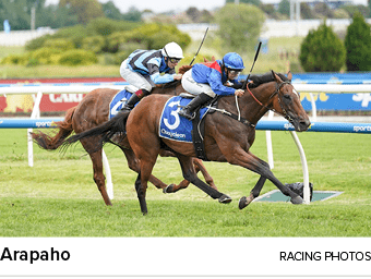 Arapaho racing photo