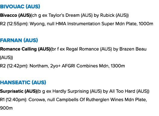 Bivouac (AUS) Bivacco (AUS)(ch g ex Taylor’s Dream (AUS) by Rubick (AUS)) R2 (12:55pm): Wyong, null HMA Instrumentati...