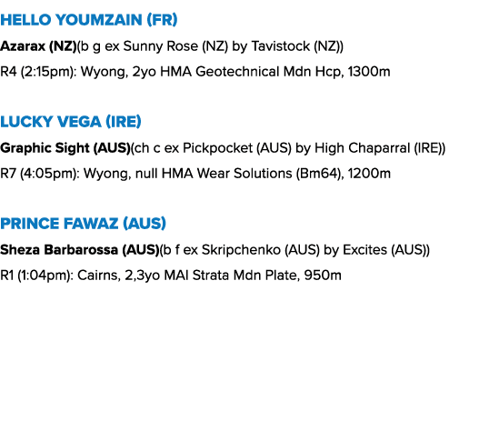 Hello Youmzain (FR) Azarax (NZ)(b g ex Sunny Rose (NZ) by Tavistock (NZ)) R4 (2:15pm): Wyong, 2yo HMA Geotechnical Md...