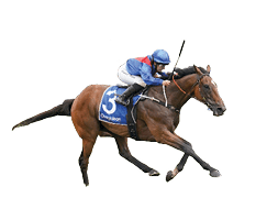 Arapaho (FR) ridden by Rachel King wins the Quayclean Zipping Classic at Caulfield Racecourse on November 30, 2024 in Caulfield, Australia. (Photo by Scott Barbour/Racing Photos)