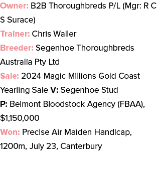 Owner: B2B Thoroughbreds P/L (Mgr: R C S Surace) Trainer: Chris Waller Breeder: Segenhoe Thoroughbreds Australia Pty ...