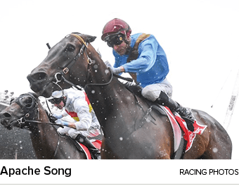 Apache Song racing photo