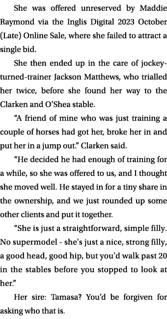 She was offered unreserved by Maddie Raymond via the Inglis Digital 2023 October (Late) Online Sale, where she failed...