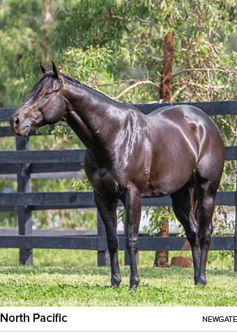 North Pacific newgat