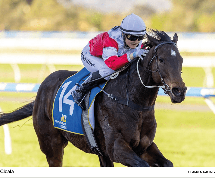 Cicala Clarken Racin