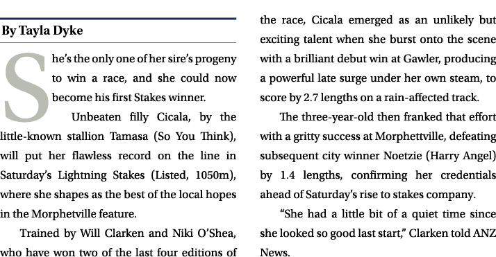 ￼ She’s the only one of her sire’s progeny to win a race, and she could now become his first Stakes winner. Unbeaten ...