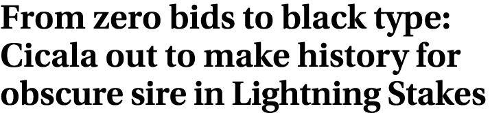 From zero bids to black type: Cicala out to make history for obscure sire in Lightning Stakes