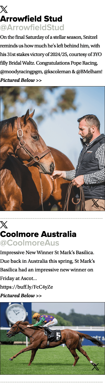 ￼ Arrowfield Stud @ArrowfieldStud On the final Saturday of a stellar season, Snitzel reminds us how much he's left be...