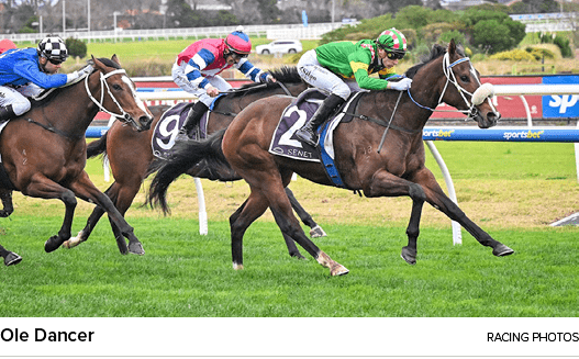 Ole Dancer racing photo