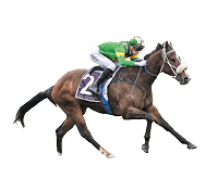 Ole Dancer ridden by Blake Shinn wins the Senet Gambling Law Experts Handicap at Caulfield Racecourse on July 26, 2025 in Caulfield, Australia. (Photo by Reg Ryan/Racing Photos)