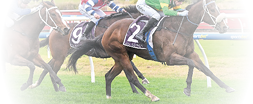 Ole Dancer ridden by Blake Shinn wins the Senet Gambling Law Experts Handicap at Caulfield Racecourse on July 26, 2025 in Caulfield, Australia. (Photo by Reg Ryan/Racing Photos)