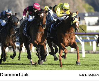 Diamond Jak Race Image