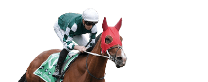 Via Sistina (IRE) ridden by James McDonald before the TAB Champions Stakes at Flemington Racecourse on November 09, 2024 in Flemington, Australia. (Photo by Jay Town/Racing Photos)