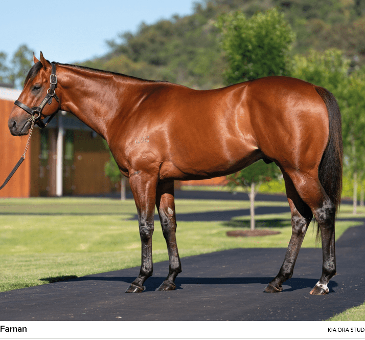 Farnan Kia Ora stu