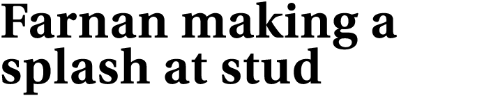 Farnan making a splash at stud