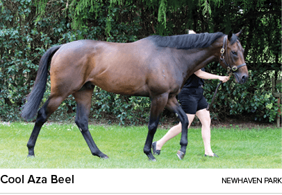 Cool Aza Beel newhaven par