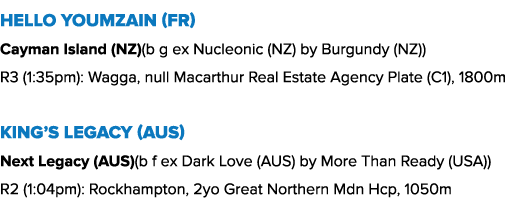 Hello Youmzain (FR) Cayman Island (NZ)(b g ex Nucleonic (NZ) by Burgundy (NZ)) R3 (1:35pm): Wagga, null Macarthur Rea...