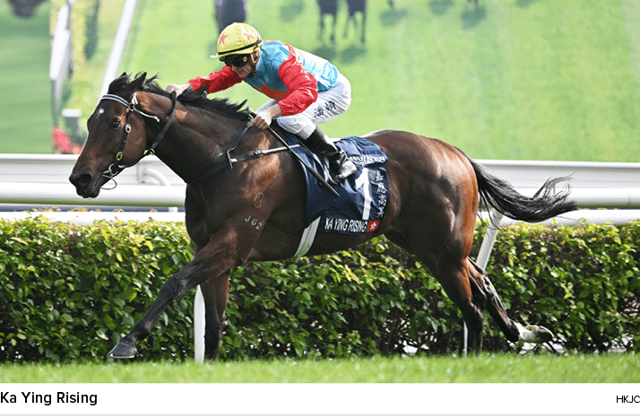 Ka Ying Rising HKJ