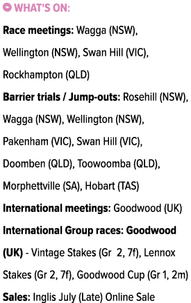 ￼ What's on: Race meetings: Wagga (NSW), Wellington (NSW), Swan Hill (VIC), Rockhampton (QLD) Barrier trials / Jump o...