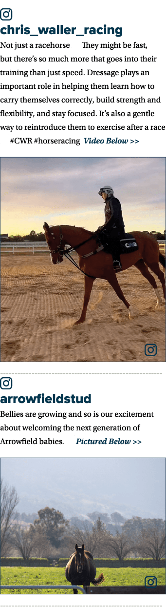 ￼ chris_waller_racing Not just a racehorse 🩰 They might be fast, but there’s so much more that goes into their train...