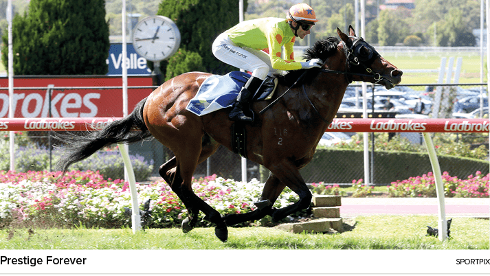 Prestige Forever sportpi