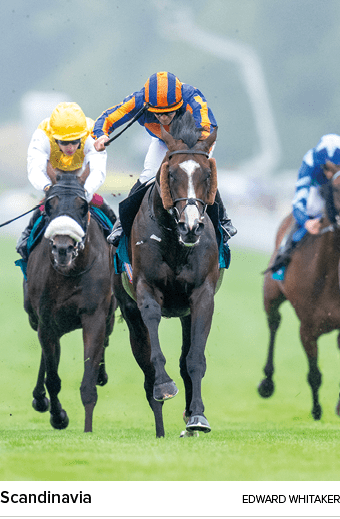 Scandinavia Edward Whitake