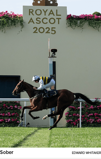 Sober Edward Whitake