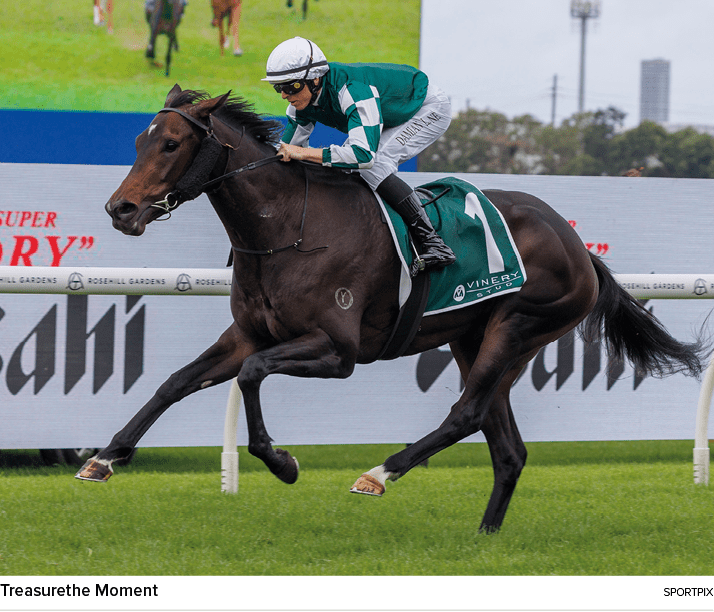 Treasurethe Moment Sportpi