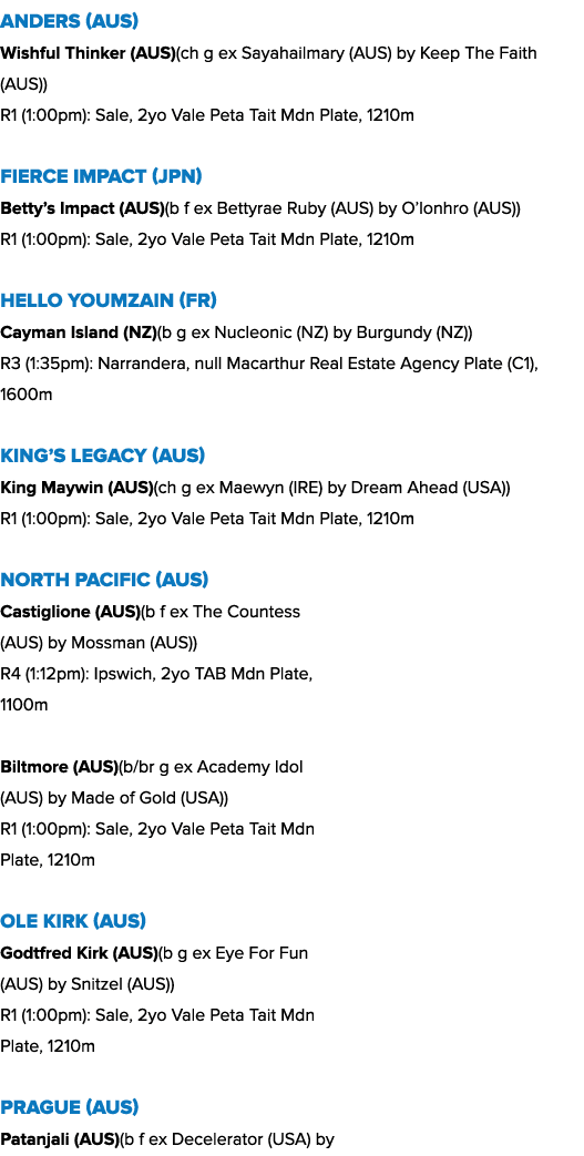 Anders (AUS) Wishful Thinker (AUS)(ch g ex Sayahailmary (AUS) by Keep The Faith (AUS)) R1 (1:00pm): Sale, 2yo Vale Pe...