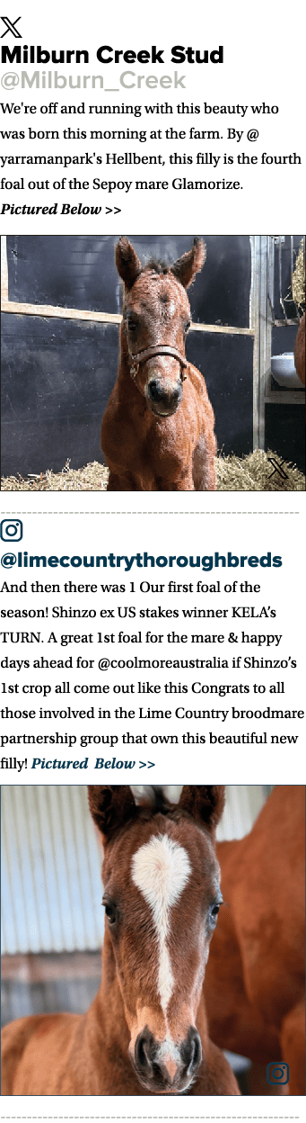 ￼ Milburn Creek Stud @Milburn_Creek We're off and running with this beauty who was born this morning at the farm. By ...