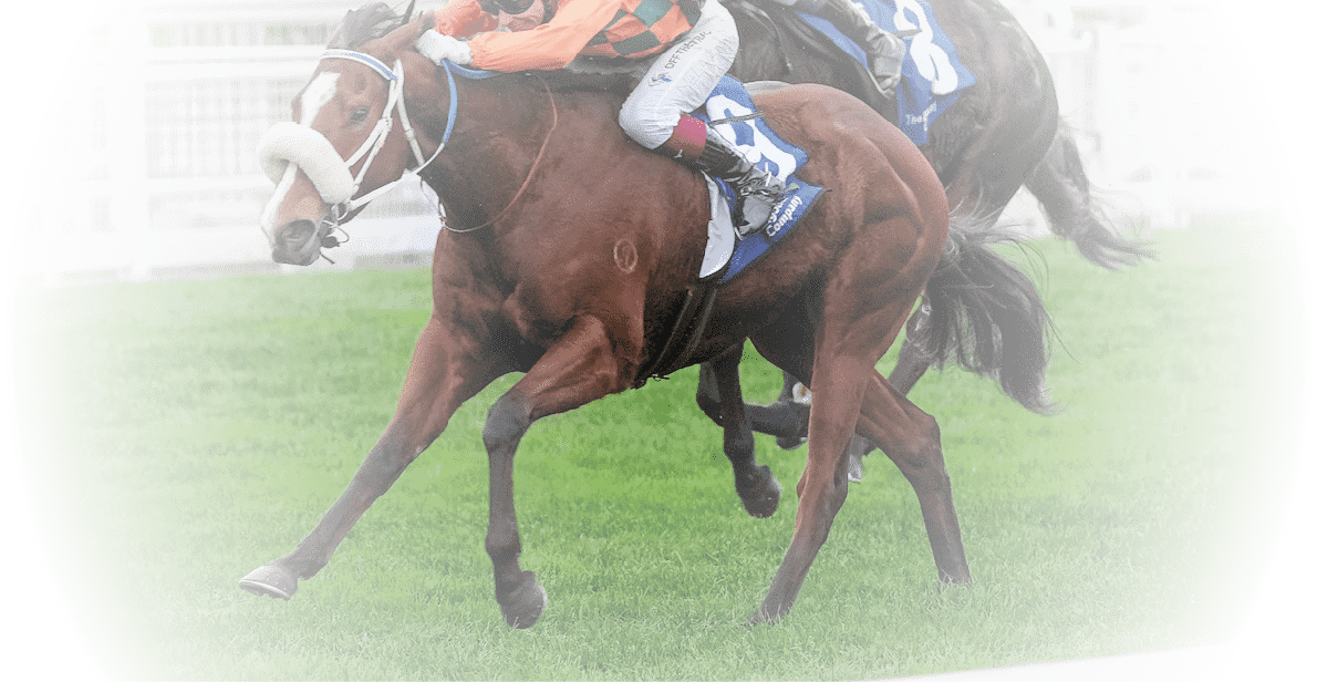 Bridal Waltz ridden by Ben Melham wins the The Big Screen Company Bletchingly Stakes at Caulfield Racecourse on July 26, 2025 in Caulfield, Australia. (Photo by George Sal/Racing Photos)