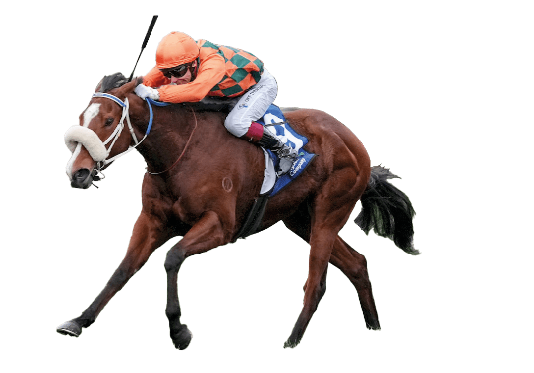 Bridal Waltz ridden by Ben Melham wins the The Big Screen Company Bletchingly Stakes at Caulfield Racecourse on July 26, 2025 in Caulfield, Australia. (Photo by George Sal/Racing Photos)