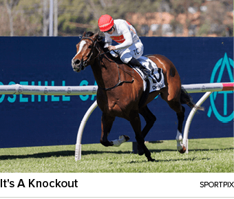 It's A Knockout sportpi