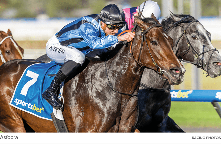 Asfoora racing photo