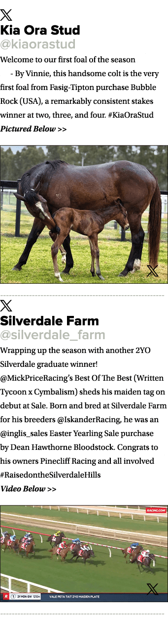 ￼ Kia Ora Stud @kiaorastud Welcome to our first foal of the season 💙 📸 By Vinnie, this handsome colt is the very fi...