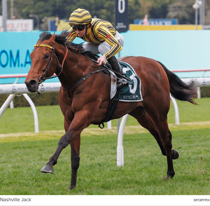 Nashville Jack sportpi