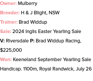 Owner: Mulberry Breeder: H & J Blight, NSW Trainer: Brad Widdup Sale: 2024 Inglis Easter Yearling Sale V: Riversdale ...