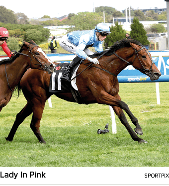 Lady In Pink sportpi