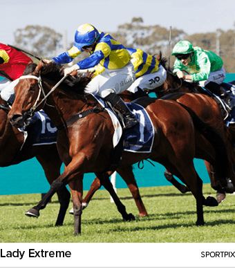 Lady Extreme sportpi