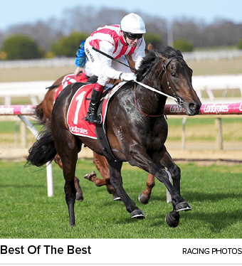 Best Of The Best racing photo