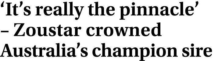 ‘It’s really the pinnacle’ – Zoustar crowned Australia’s champion sire