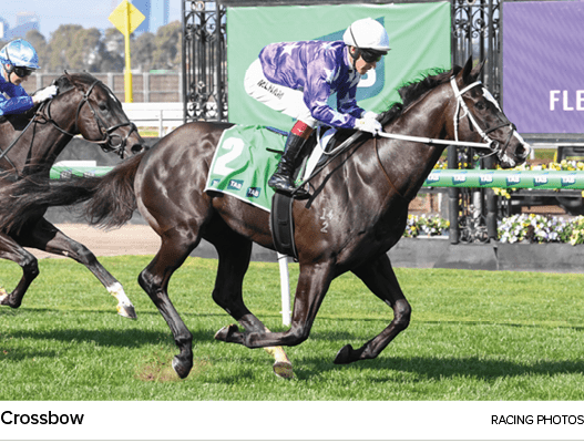 Crossbow Racing photo