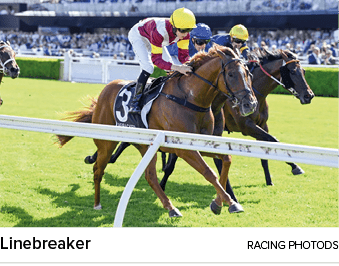 Linebreaker racing photod