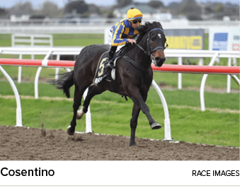 Cosentino race image