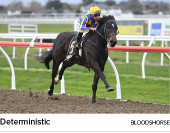 Deterministic bloodshors