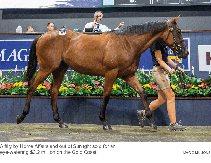 A filly by Home Affairs and out of Sunlight sold for an eye watering $3.2 million on the Gold Coast magic million