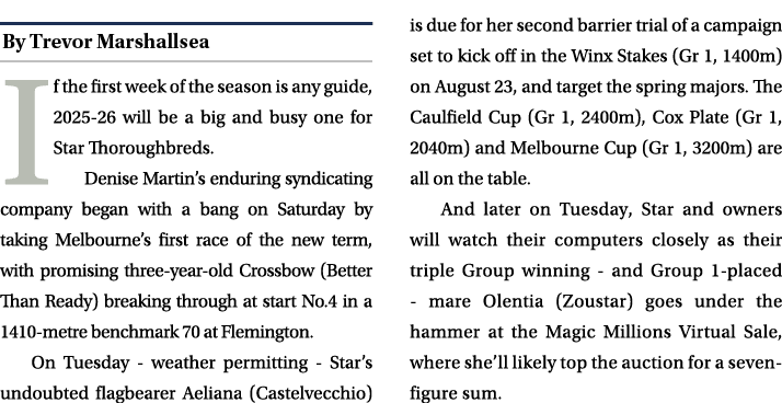 ￼ If the first week of the season is any guide, 2025 26 will be a big and busy one for Star Thoroughbreds. Denise Mar...