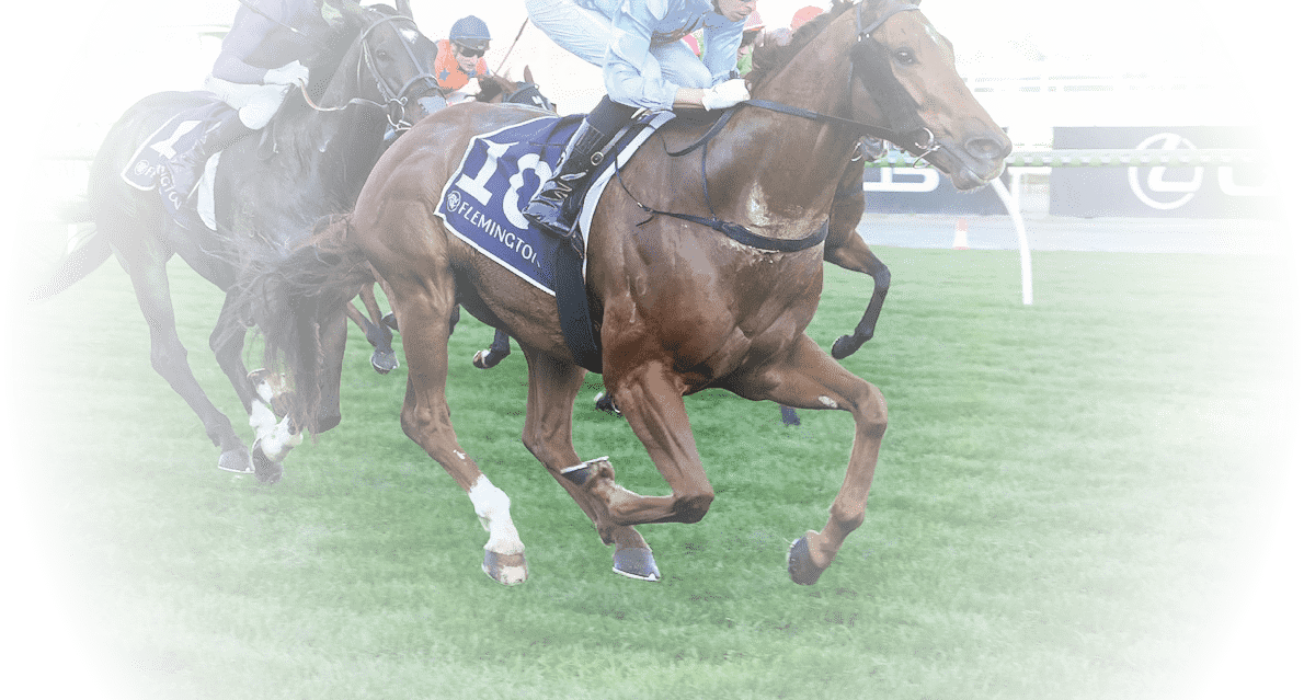 King Of Roseau ridden by Michael Dee wins the Aurie's Star Handicap at Flemington Racecourse on August 02, 2025 in Flemington, Australia. (Photo by Brett Holburt/Racing Photos)
